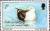 Colnect-4202-735-Birds-1987---Dominican-Gull-Larus-dominicanus.jpg