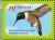 Colnect-4523-284-Black-chinned-Hummingbird----Archilochus-alexandri.jpg