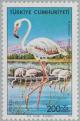 Colnect-2579-637-Greater-Flamingo-Phoenicopterus-roseus.jpg