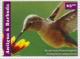 Colnect-2977-573-Broad-tailed-Hummingbird-Selasphorus-platycercus.jpg
