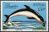 Colnect-1984-721-Short-beaked-Common-Dolphin-Delphinus-delphis.jpg
