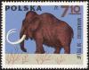 Colnect-3050-755-Mammoth-Mammuthus-sp.jpg