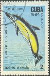 Colnect-679-212-Short-beaked-Common-Dolphin-Delphinus-delphis.jpg