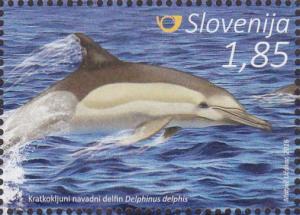 Colnect-3557-545-Short-breaked-common-dolphin---Delphinus-delphis.jpg