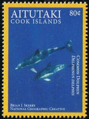 Colnect-3851-194-Short-Beaked-Common-Dolphin-Delphinus-delphis.jpg