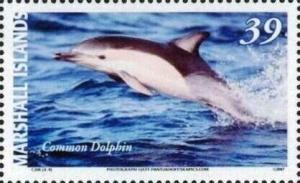 Colnect-6004-522-Short-beaked-Common-Dolphin-Delphinus-delphis.jpg