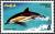 Colnect-2256-016-Short-beaked-Common-Dolphin-Delphinus-delphis.jpg