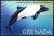 Colnect-4545-540-Commerson-s-dolphin.jpg