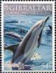 Colnect-1862-985-Short-Beaked-Common-Dolphin-Delphinus-delphis.jpg