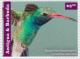 Colnect-2977-574-Broad-billed-Hummingbird-Cynanthus-latirostris.jpg
