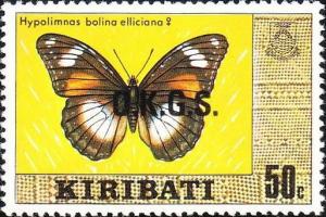 Colnect-1095-851-Great-Eggfly-Hypolimnas-bolina-ssp-elliciana---Female.jpg