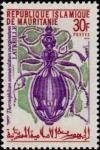 Colnect-989-427-Hunting-Beetle-Termophilum-sexmaculatum-marginatum.jpg