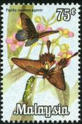 Colnect-1080-571-Great-Mormon-Papilio-memnon.jpg