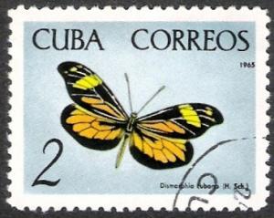 Colnect-1326-273-Cuban-Dismorphia-Dismorphia-cubana.jpg