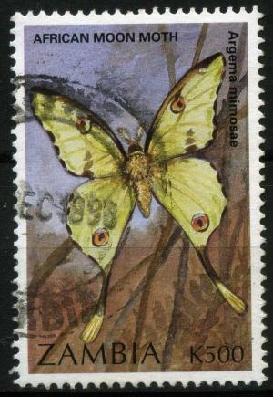 Colnect-1910-196-African-Moon-Moth-Argema-mimosae.jpg