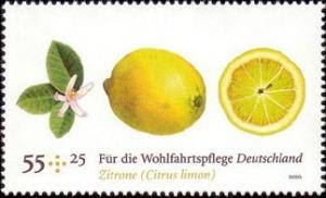 Colnect-565-585-Lemon-Citrus-limon.jpg