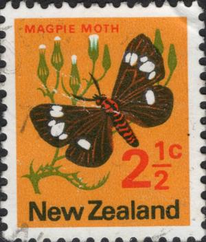 Colnect-6283-744-Magpie-Moth-Nyctemera-annulata.jpg