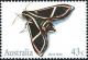Colnect-1952-555-Hawk-Moth-Cizara-ardeniae.jpg