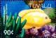 Colnect-4008-312-Lemonpeel-angelfish.jpg
