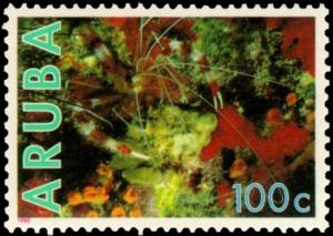 Colnect-3747-794-Banded-Coral-Shrimp-Stenopus-hispidus-Fire-Sponge.jpg
