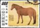 Colnect-1883-994--Arabian-Champion--Equus-ferus-caballus.jpg
