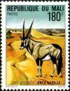 Colnect-2503-837-Gemsbok-Oryx-gazella.jpg