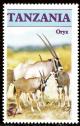 Colnect-1832-654-Gemsbok-Oryx-gazella.jpg