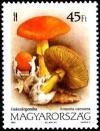 Colnect-1020-613-Caesar-s-mushroom-Amanita-caesarea.jpg