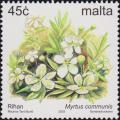 Colnect-3094-282-Myrtus-communis.jpg