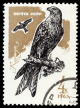 Stamp_CCCP_1965_Roter_Milan_Milvus_Milvus_MiNr_3149.png