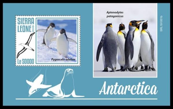 Colnect-6260-231-Fauna-of-the-Antarctic.jpg