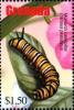Colnect-4592-807-Monarch-caterpillar.jpg