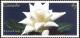 Colnect-2954-429-Canadian-White-Star.jpg