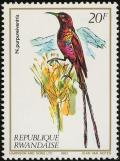 Colnect-1780-806-Purple-breasted-Sunbird%C2%A0Nectarinia-purpureiventris.jpg