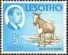 Colnect-1730-058-King-Moshoeshoe-II-and-Basotho-Pony-Equus-ferus-caballus.jpg