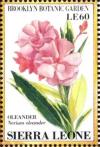 Colnect-4207-968-Oleander-Nerium-oleander.jpg