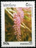 Colnect-1402-347-Dendrobium-secundum.jpg