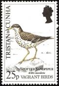 Colnect-2606-249-Spotted-Sandpiper-Actitis-macularia.jpg