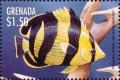 Colnect-4581-419-Banded-butterflyfish.jpg