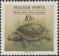 Colnect-605-661-European-Pond-Turtle-Emys-orbicularis.jpg