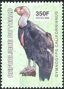 Colnect-2395-317-California-Condor-Gymnogyps-californianus.jpg