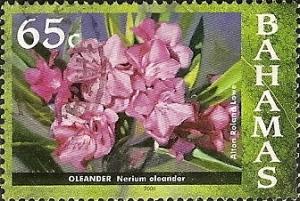 Colnect-1599-762-Oleander-Nerium-Oleander.jpg