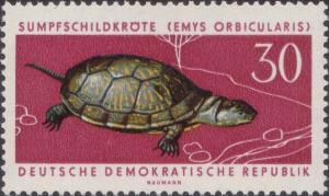 Colnect-1974-296-European-Pond-Turtle-Emys-orbicularis.jpg