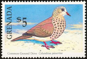 Colnect-2192-512-Common-Ground-Dove-Columbina-passerina.jpg