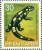 Colnect-1795-940-Fire-Salamander-Salamandra-salamandra.jpg
