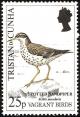 Colnect-2606-249-Spotted-Sandpiper-Actitis-macularia.jpg