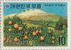 Colnect-2723-496-Tangerine-orchard-Cheju-island.jpg