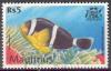 Colnect-573-793-Mauritian-Anemonefish-Amphiprion-chrysogaster.jpg