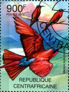 Colnect-3075-288-Southern-Carmine-Bee-eater-Merops-nubicoides.jpg