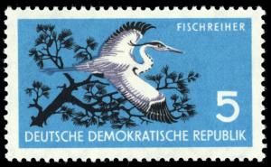 Colnect-1970-736-Grey-Heron-Ardea-cinerea-Scotch-Pine-Pinus-sylvestris.jpg